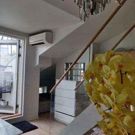Cozy Penthouse Loft Apartment *