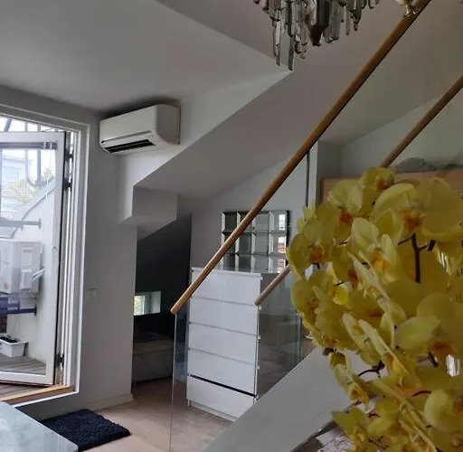 Cozy Penthouse Loft Hotel *